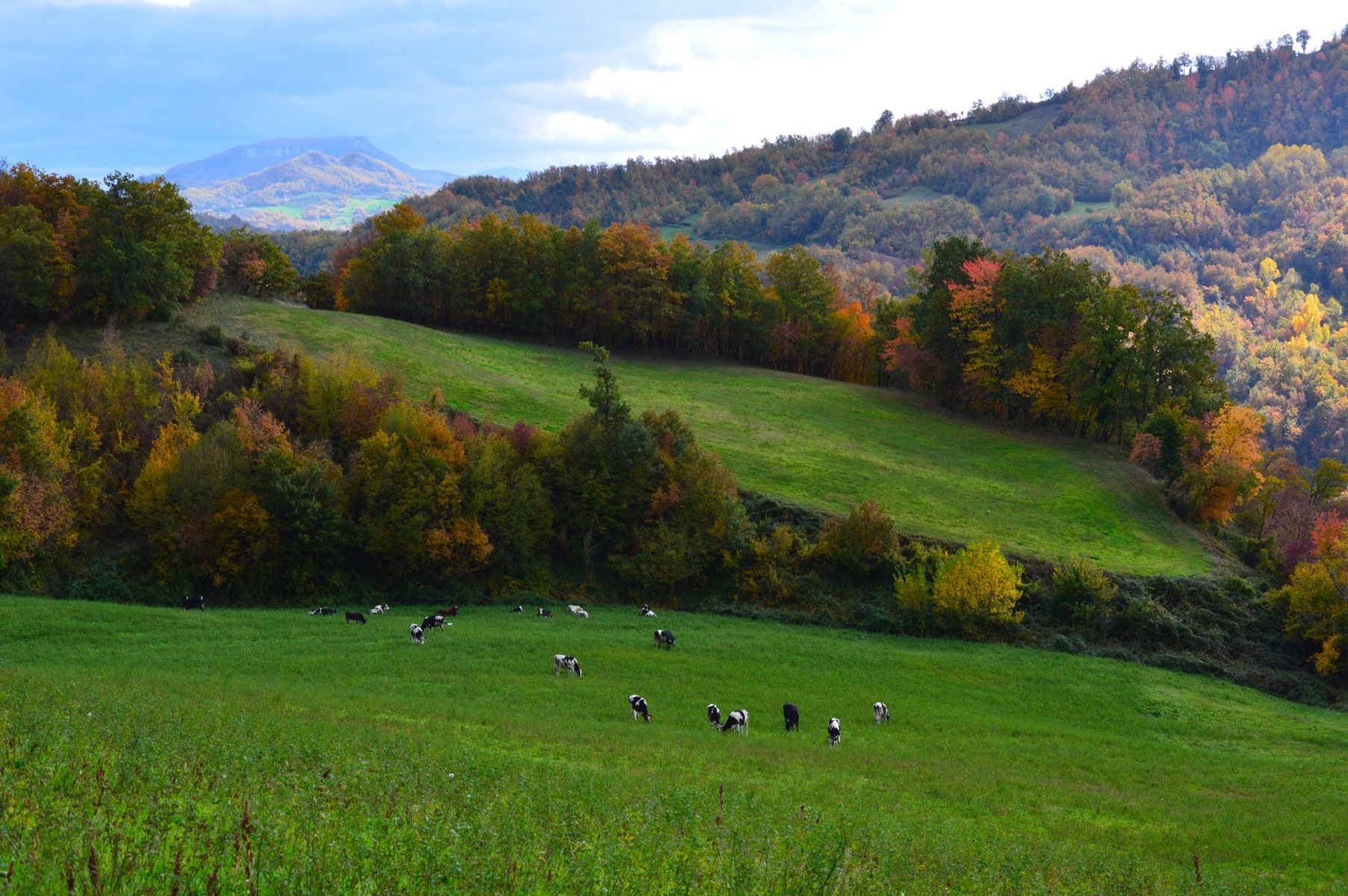 Azienda Agricola BIO BIAVARDI — foto 4